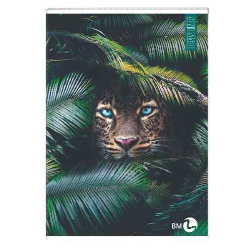 BE MORE ANIMAL QUADERNO PUNTO METALLICO 80GR 210X297 mm A4 40 FOGLI A RIGHE 0B FANTASIE ASSORTITE CONF 10 Pz.